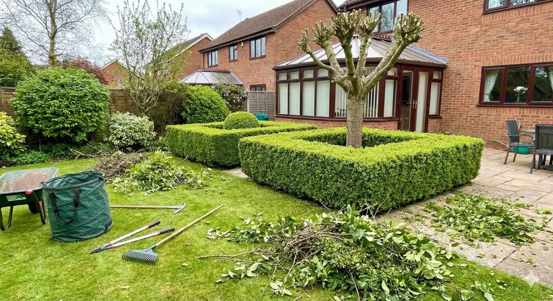 Tree Trimming in Nottingham